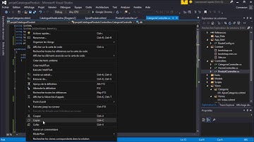 Partie5/8 - Creer une appli web avec ASP.NET et SQL server - Formulaire d
