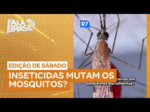 Insecticides can influence the love life of mosquitoes, study reveals