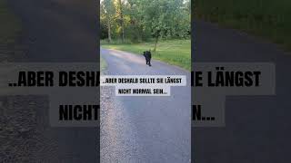 Problemverhalten normalisieren?