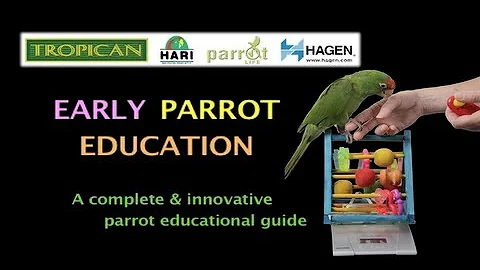 Early Parrot Education Program - An Introduction