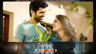 Hum Zamane Ki Nigahon Mein Status Video