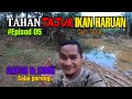 Tahan Tajur Ikan Haruan Eps 05