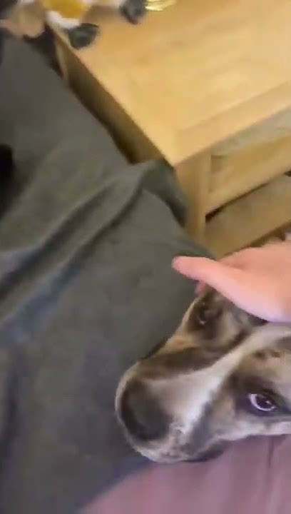 youtube.com