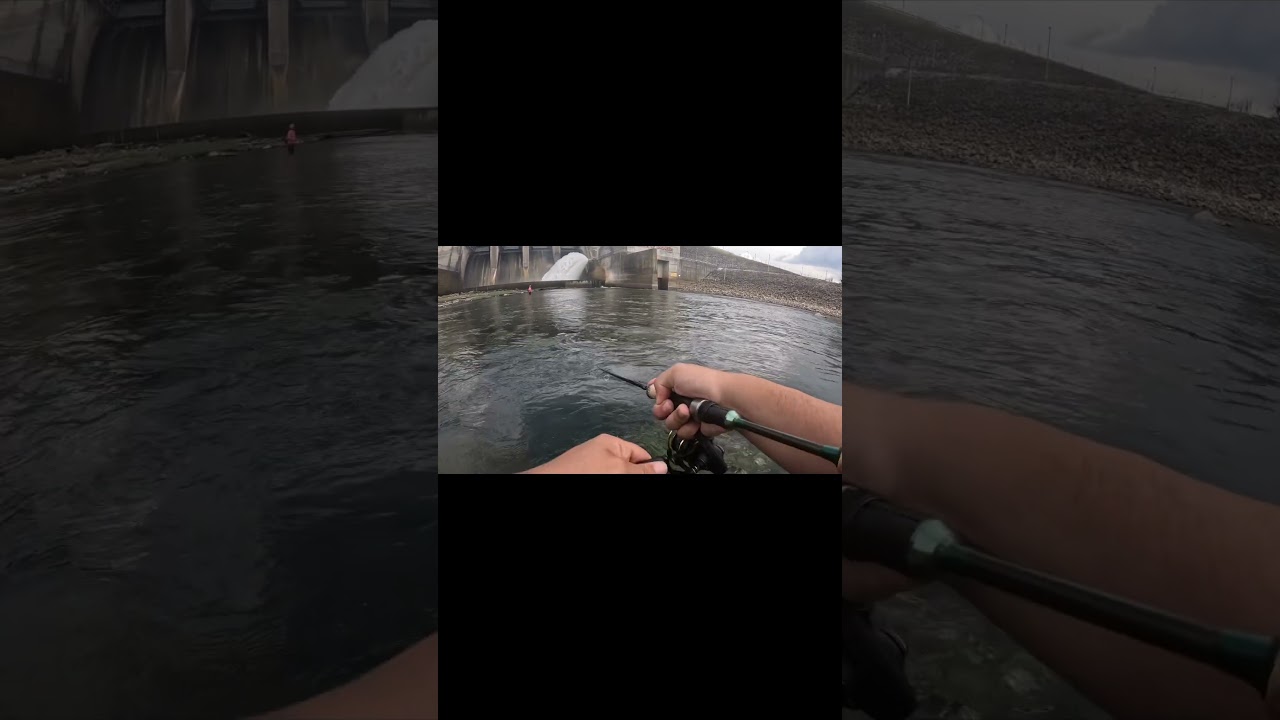 What do you think it was?👀  