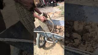 Leveling the Ground Behind the Coffee Shop