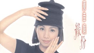 Download lagu Delphine Tsai 蔡幸娟 4