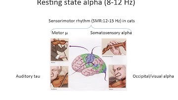 Cross frequency coupling  pt7 Emotions