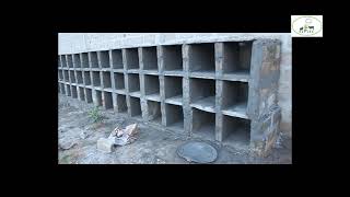🔵CONSTRUCTION DES ENCLOS & MISE EN PLACE D'UN ELEVAGE D'AULACODES screenshot 4