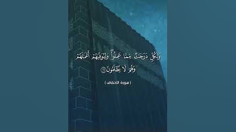 سورة الأحقاف بصوت الشيخ           أبو أنس شمس الدين