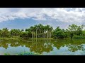 Xishuangbanna's Tropical Forest: China's Lesser Known Paradise | China Revealed | TRACKS