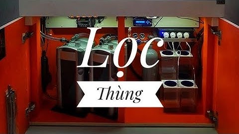 Fish 202: Những điều cần chú ý khi dùng lọc thùng nuôi cá vàng