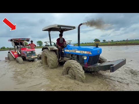 Mahindra Arjun NOVO 605 PS 4WD tractor stuck badly in paddy field, pulled out by New Holland 3630...