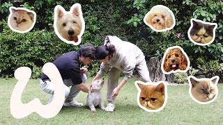Dogs And Cats Choose Their Favorite Human Winnie Wong