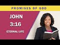 John 3 16 - John 3:16 - NIV-KJV-NLT - Bible Verses for Meditation, Peace, Healing, Strength and Joy