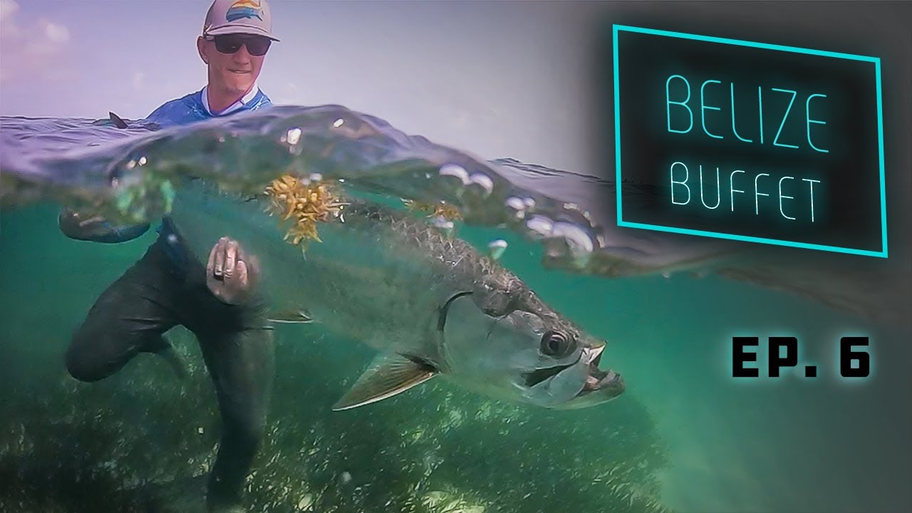 Belize Buffet - Tarpon and Permit Fly Fishing!