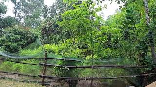 Burning the Silence – The Scream After the Explosion