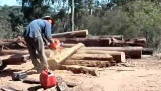 spliting tallowwood split posts