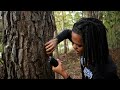 ASMR at my favorite nature spot (public asmr)