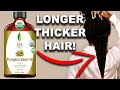 PUMPKIN SEED OIL FOR HAIR GROWTH!