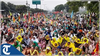 SKM's 3-day protest: Farmers gather near Mohali-Chandigarh border to take part in stir