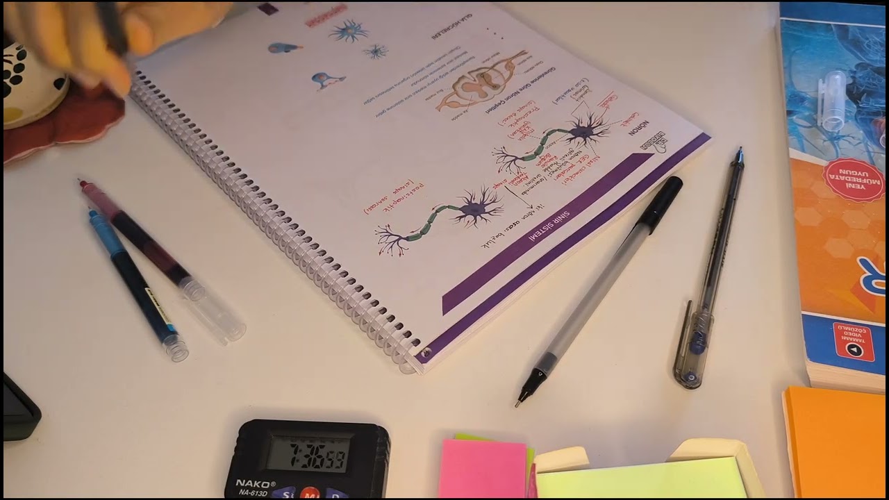 STUDY WITH ME | 2hrs | asmr | writing sound | background noise, no music | 