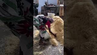 Asi Se Fabrican Los Cerillos O Fosforos.