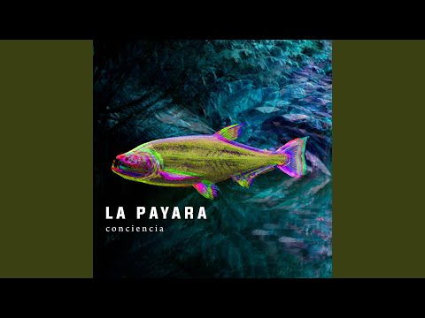 La Payara - Pez Psicodélico