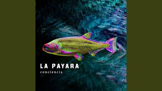 Pez Psicodélico - La Payara