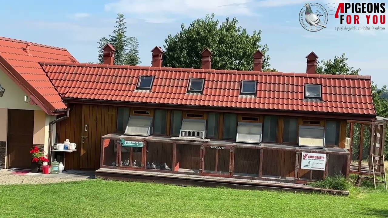 Ostatnia rewelacyjny lot  konkursowy 300km