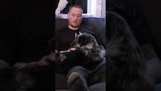 Utah fire crews save a dog trapped in a car after a crash
