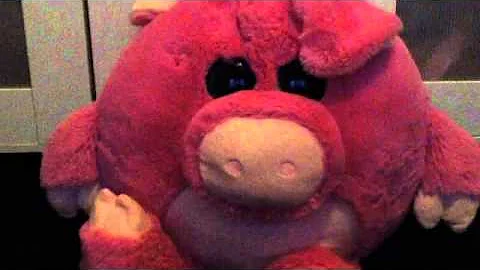 "Piggy" Fan Video