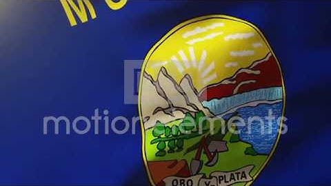 Montana Flag Waving In The Wind. Looping Sun Rises Style. Animation Loop Stock Animation