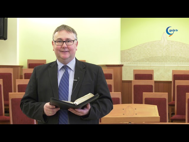 1229 Merényi Zoltán