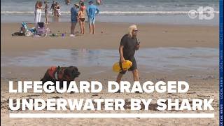 Maine lifeguard dragged underwater by white shark