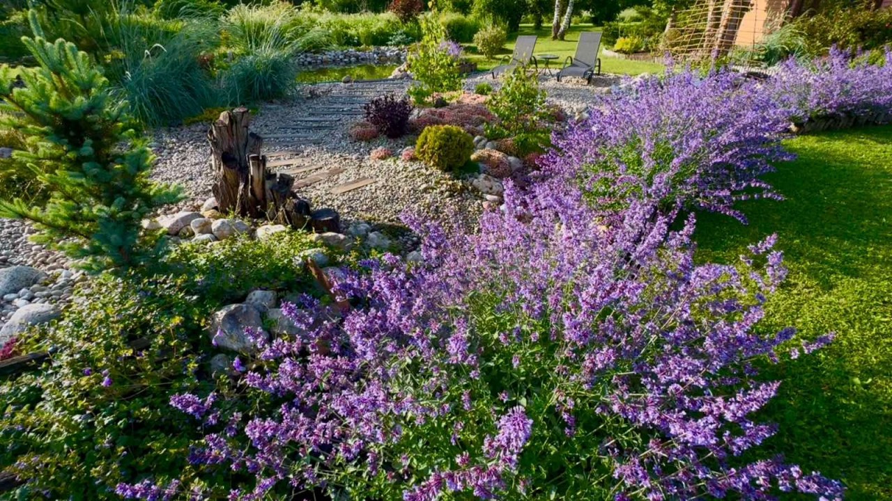 25.06.2025 Накупила растений. Такого котовника вы ещё не видели! Делаю опоры для роз. Наконец грилим