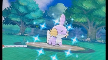 Live Shiny Mudkip in Omega Ruby After ONLY 14445 Soft Resets!