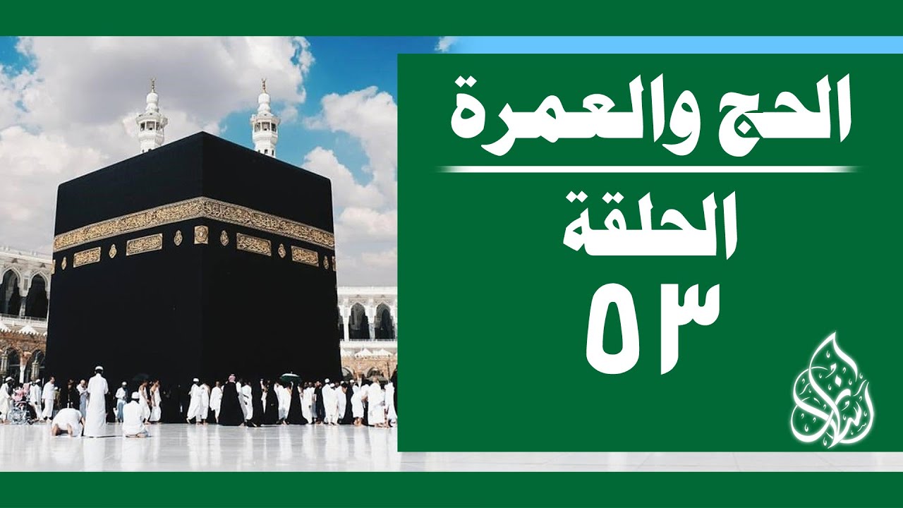 الحج والعمرة [ 053 ] ما يباح للمحرم | الشيخ محمد بن سعيد رسلان [ 4K ]