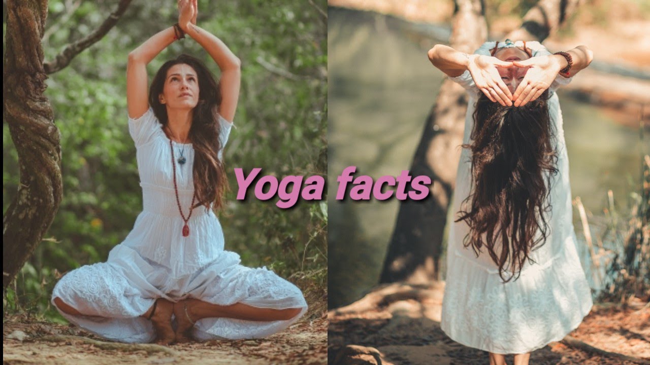 The Science Of Yoga FactsThe science of YogaInteresting Facts About