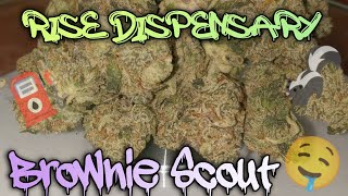 #97 Brownie Scout (Official Product Video Review)Rise Dispensary Product