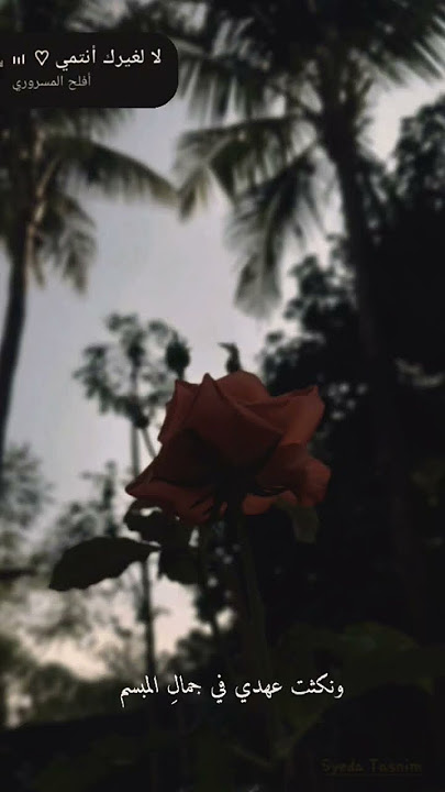 la lighairika antami #islamicshorts #nasheed #islamicvideo