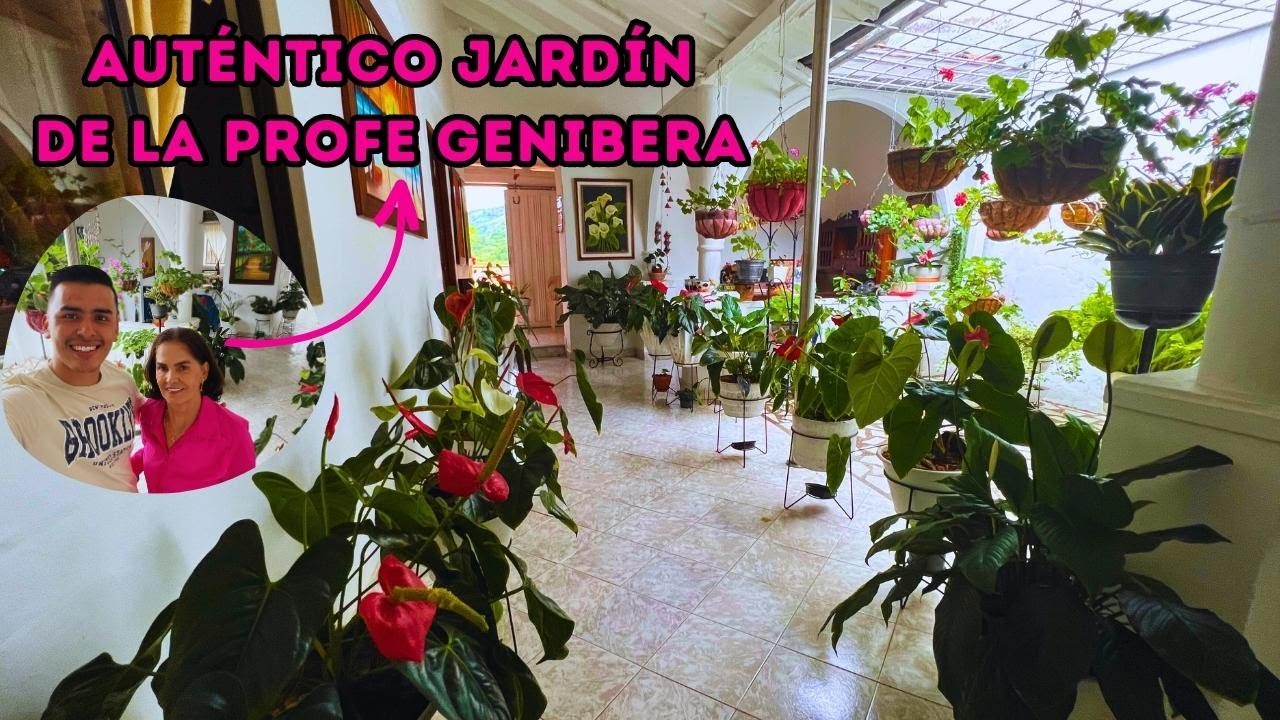 Visitando auténtico y lindo jardín tropical de una suscriptora: PLANTAS de VERANO y de INVIERNO | AP