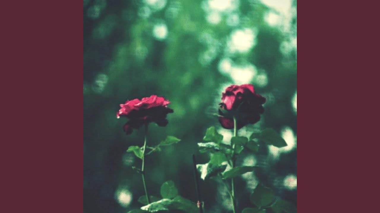 Guarda 6am su YouTube Guarda 6am su YouTube