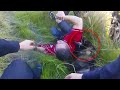 Man Steals Truck Before Getting a Painful Reality Check from K9