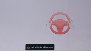 Self driving aborted for system error!!! What do you do to fix this?