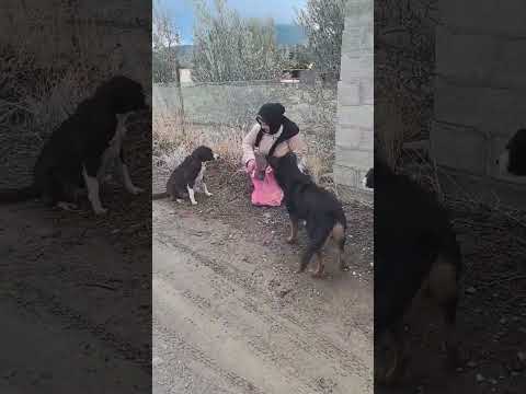 اللهم رزقا واسعا طيبا مباركا فيه كما تحب وترضى