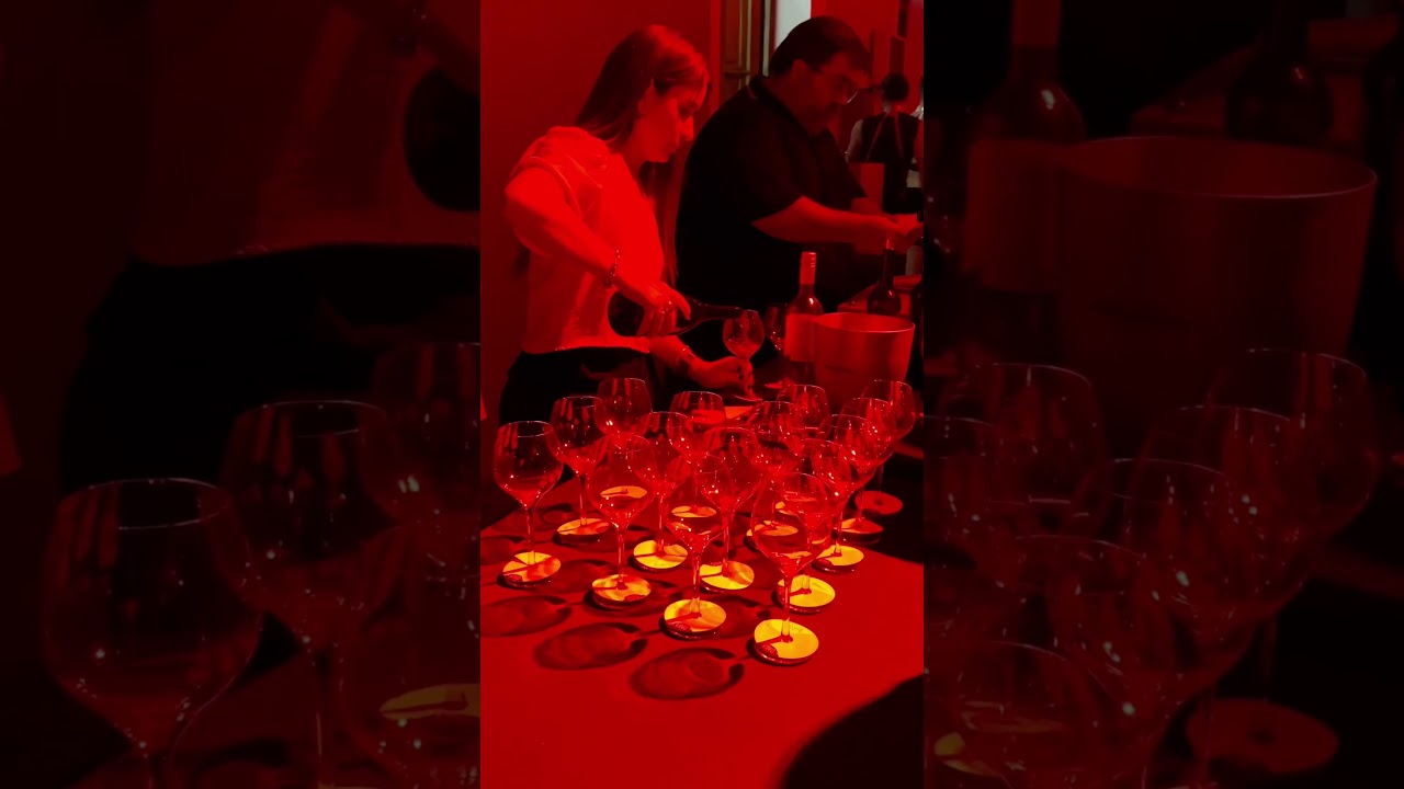 Video para Laureano Arzagot (Festival día de los enamorados)