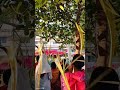Palm Sunday.#shortsvideo #christianity #christian #religionshorts