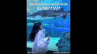 씨클라우드호텔 레지던스 영상