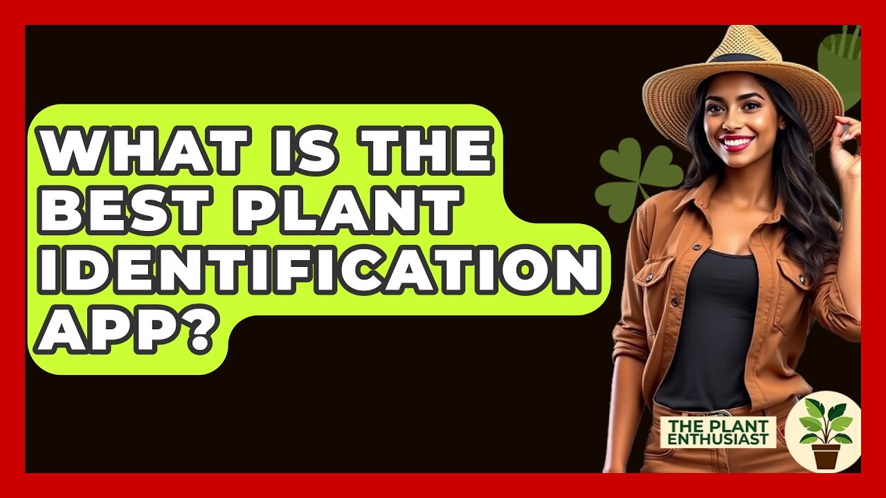 What Is The Best Plant Identification App? - The Plant Enthusiast