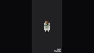 Descargar Fondos De Pantalla Gratis:Zedge screenshot 4